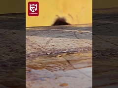 Botas de trabajo de seguridad